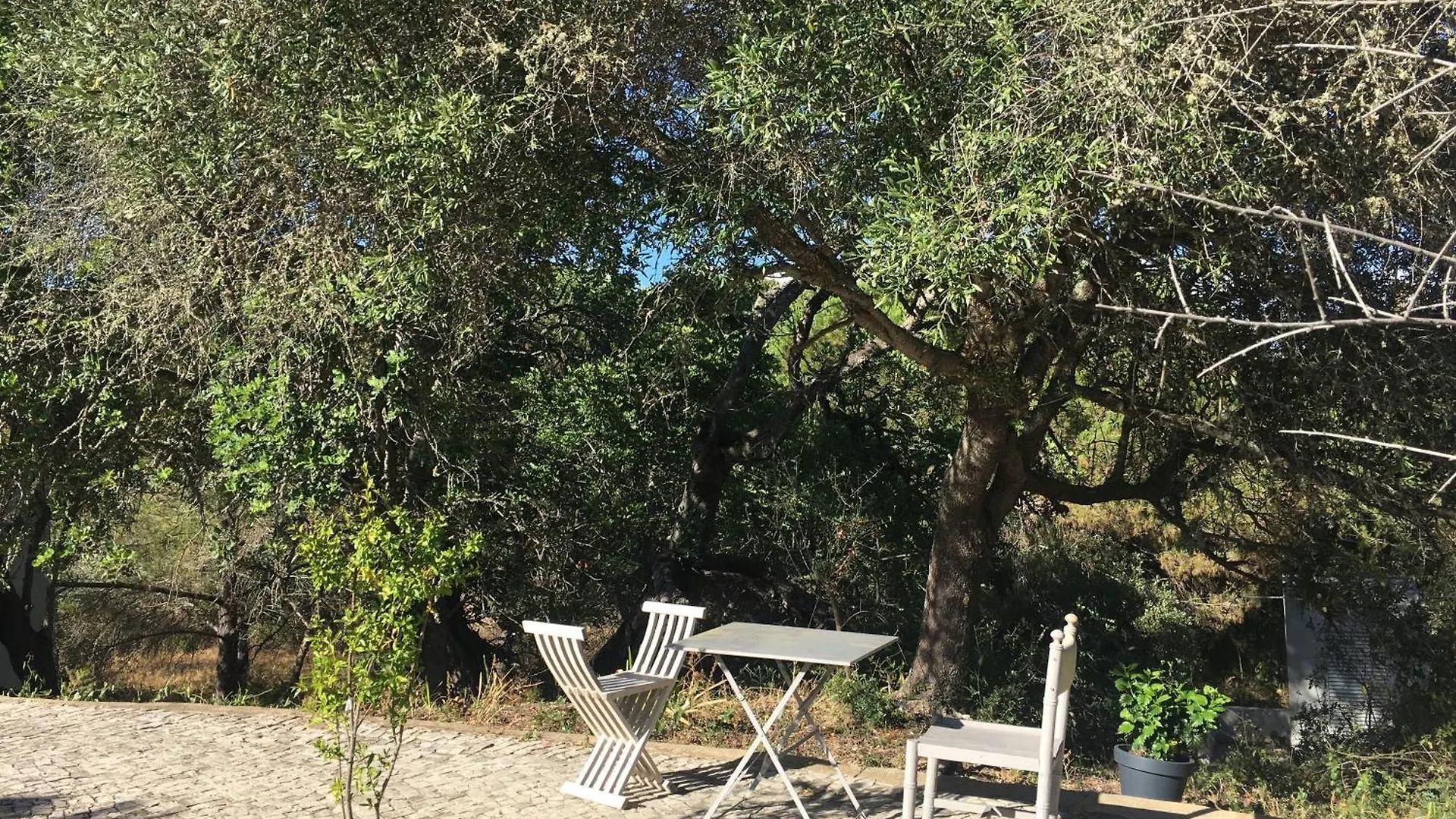 Farm stay Casa Da Ti Carolina Villa Carvoeiro