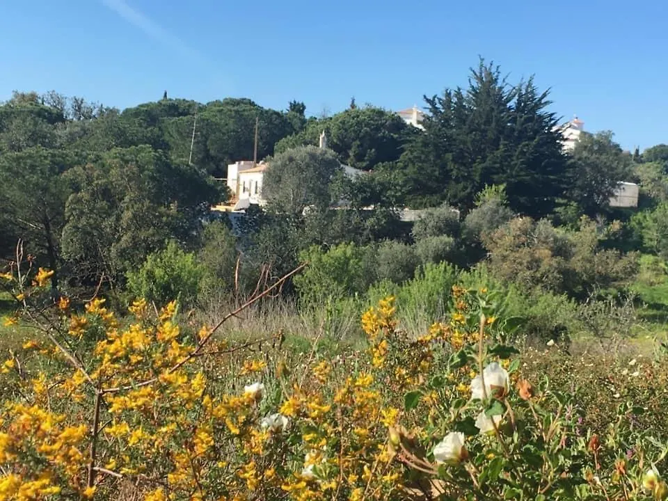 Casa Da Ti Carolina Villa Carvoeiro  Farm stay