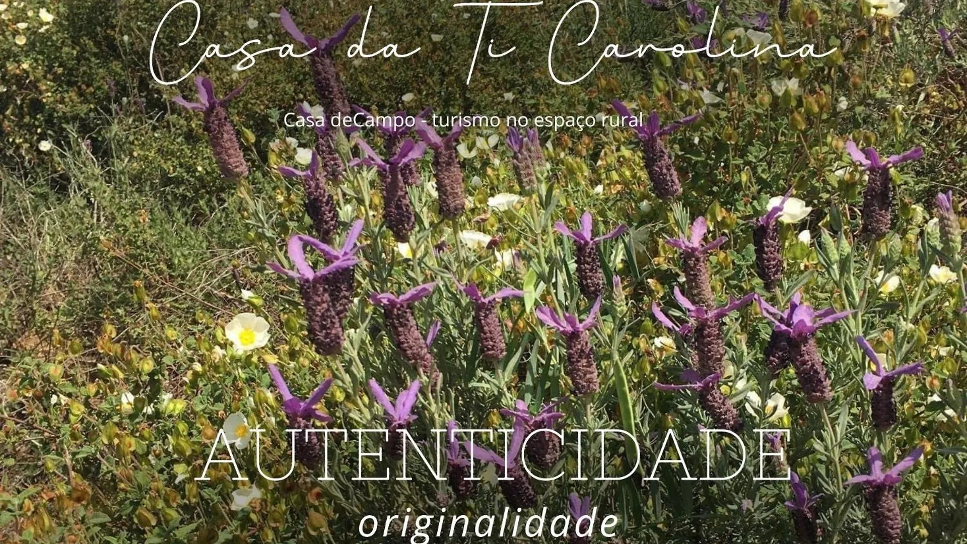 Vila Casa Da Ti Carolina Carvoeiro  0*, Carvoeiro (Lagoa) Portugalsko