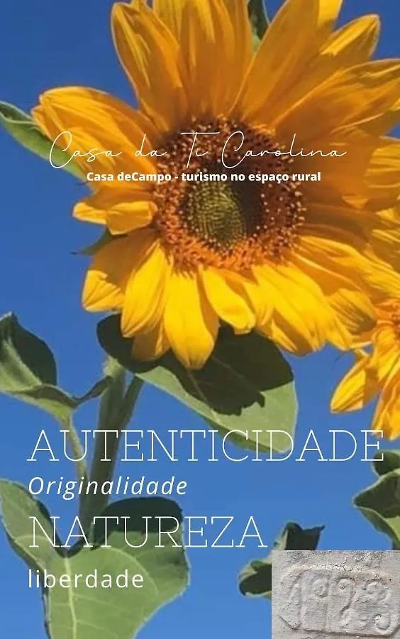Gospodarstwo agroturystyczne Willa Casa Da Ti Carolina Carvoeiro  Portugalia